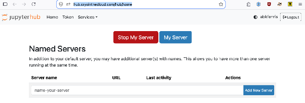 Hub control panel with Stop My Server button